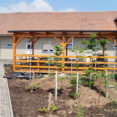 Apartment Studia Luzican