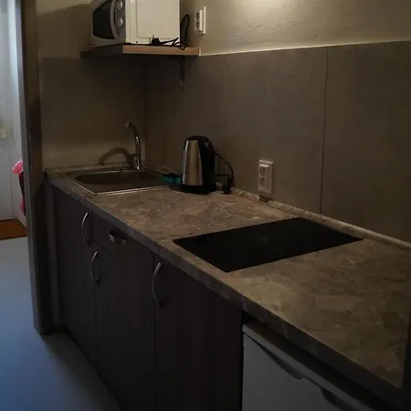 Apartment Studia Luzican *